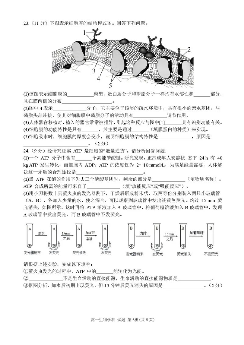 浙江省台州市十校联盟2025-2026学年高一上学期11月期中生物试题含答案_2025年11月高一试卷_251109浙江省台州十校联盟2025-2026学年高一上学期11月期中联考