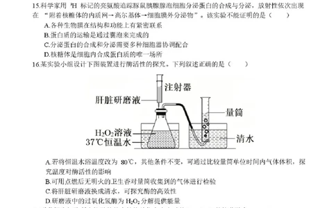 浙江省台州市十校联盟2025-2026学年高一上学期11月期中生物试题含答案_2025年11月高一试卷_251109浙江省台州十校联盟2025-2026学年高一上学期11月期中联考