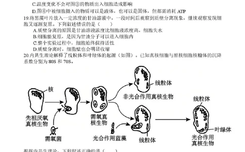 浙江省台州市十校联盟2025-2026学年高一上学期11月期中生物试题含答案_2025年11月高一试卷_251109浙江省台州十校联盟2025-2026学年高一上学期11月期中联考