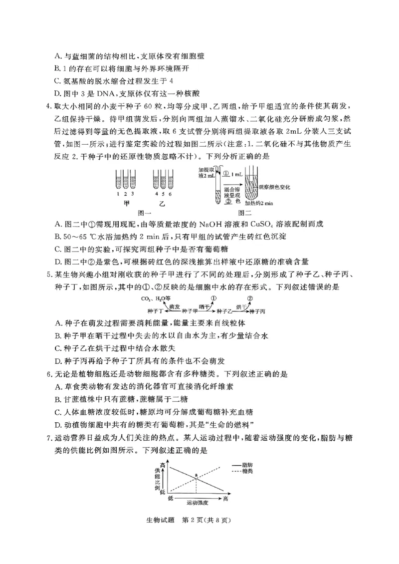 河南驻马店2024-2025学年（上）高一年级期中考试生物试题_2024年11月试卷_1122青桐鸣河南省普通高中2024-2025学年高一上学期期中