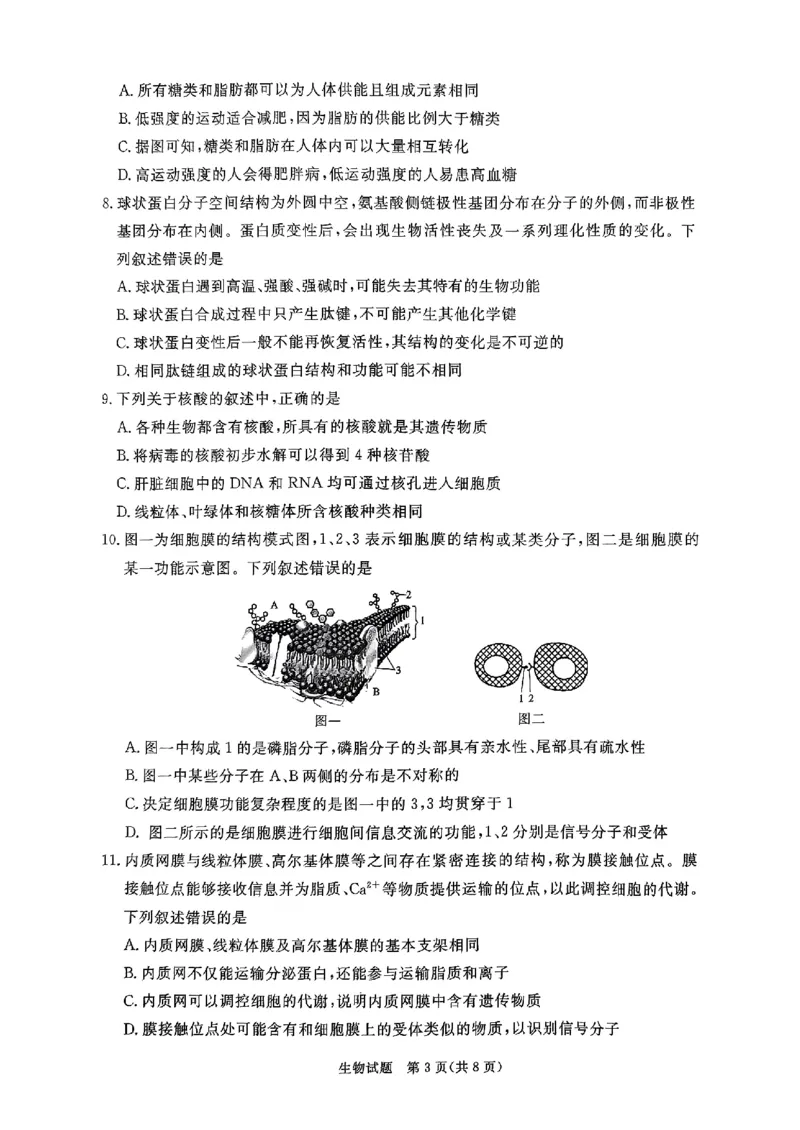 河南驻马店2024-2025学年（上）高一年级期中考试生物试题_2024年11月试卷_1122青桐鸣河南省普通高中2024-2025学年高一上学期期中