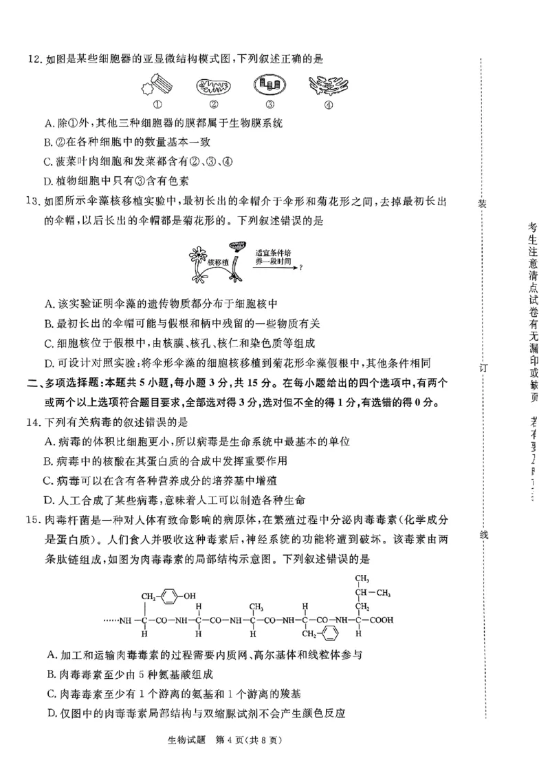 河南驻马店2024-2025学年（上）高一年级期中考试生物试题_2024年11月试卷_1122青桐鸣河南省普通高中2024-2025学年高一上学期期中