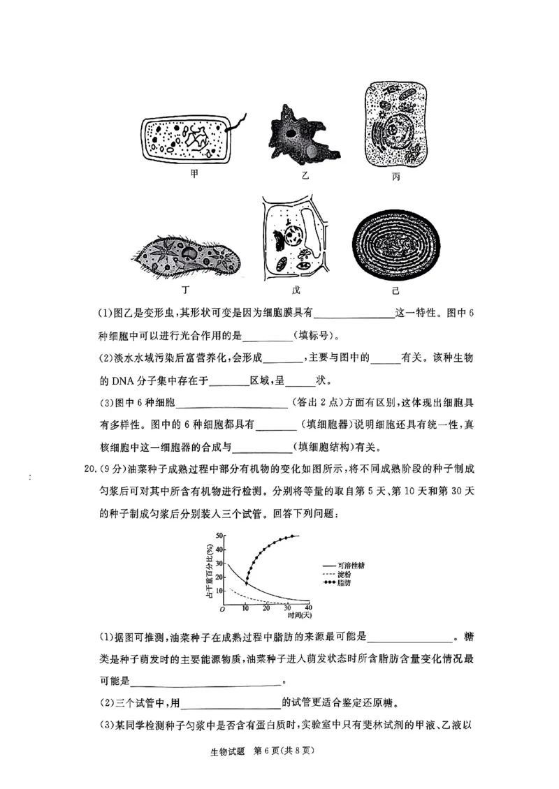 河南驻马店2024-2025学年（上）高一年级期中考试生物试题_2024年11月试卷_1122青桐鸣河南省普通高中2024-2025学年高一上学期期中