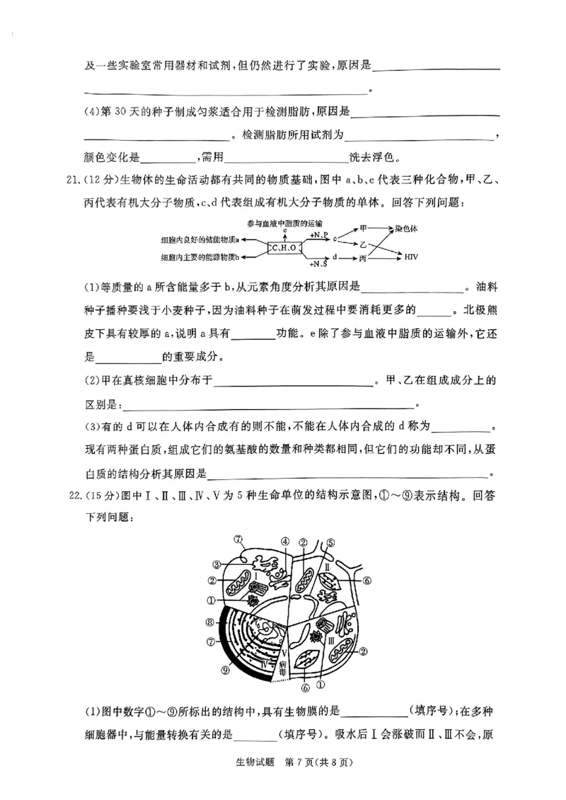 河南驻马店2024-2025学年（上）高一年级期中考试生物试题_2024年11月试卷_1122青桐鸣河南省普通高中2024-2025学年高一上学期期中