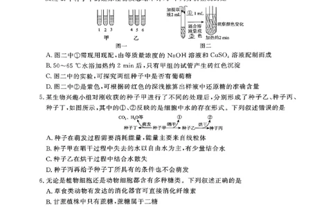 河南驻马店2024-2025学年（上）高一年级期中考试生物试题_2024年11月试卷_1122青桐鸣河南省普通高中2024-2025学年高一上学期期中