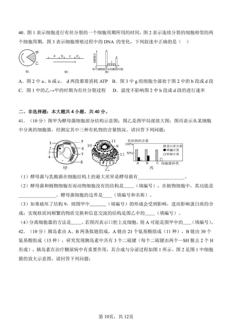 济南一中2025级高一上学期1月学情检测-生物试题_2026年01月高一试卷_260115山东省济南第一中学2025-2026学年高一上学期1月学情检测（全）