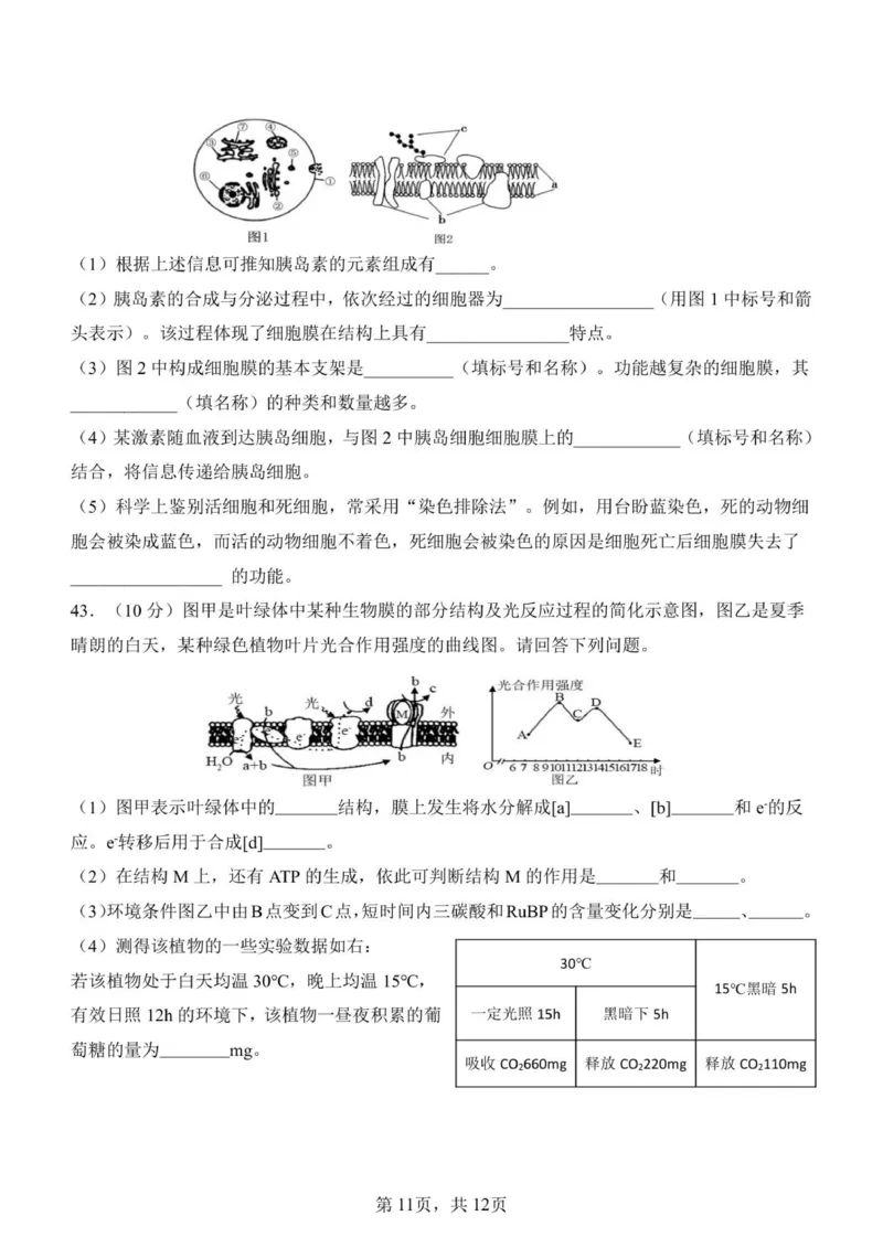 济南一中2025级高一上学期1月学情检测-生物试题_2026年01月高一试卷_260115山东省济南第一中学2025-2026学年高一上学期1月学情检测（全）