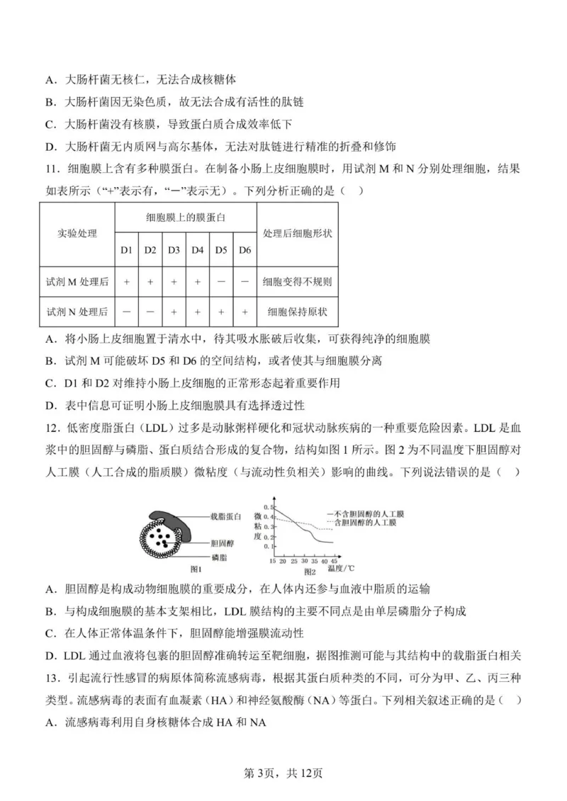 济南一中2025级高一上学期1月学情检测-生物试题_2026年01月高一试卷_260115山东省济南第一中学2025-2026学年高一上学期1月学情检测（全）