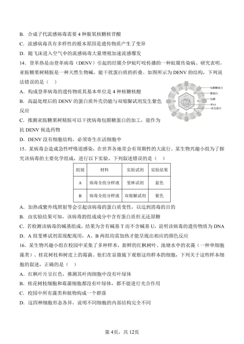 济南一中2025级高一上学期1月学情检测-生物试题_2026年01月高一试卷_260115山东省济南第一中学2025-2026学年高一上学期1月学情检测（全）