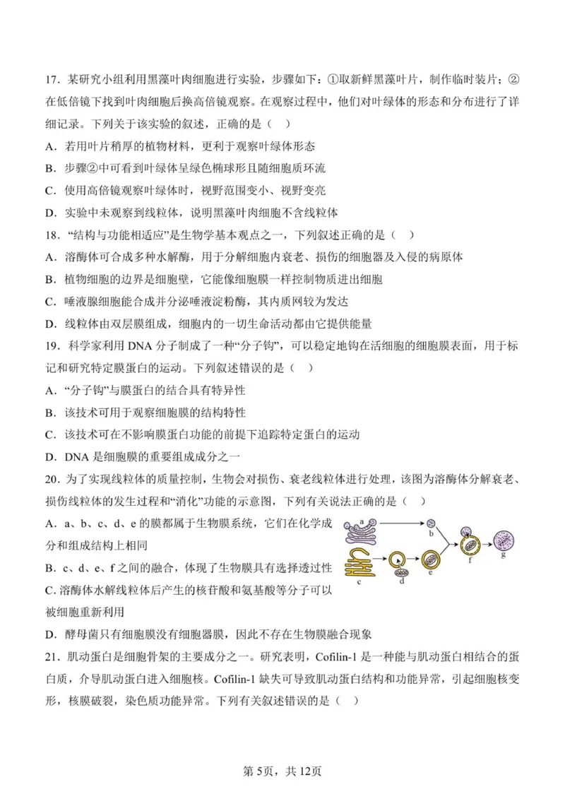 济南一中2025级高一上学期1月学情检测-生物试题_2026年01月高一试卷_260115山东省济南第一中学2025-2026学年高一上学期1月学情检测（全）