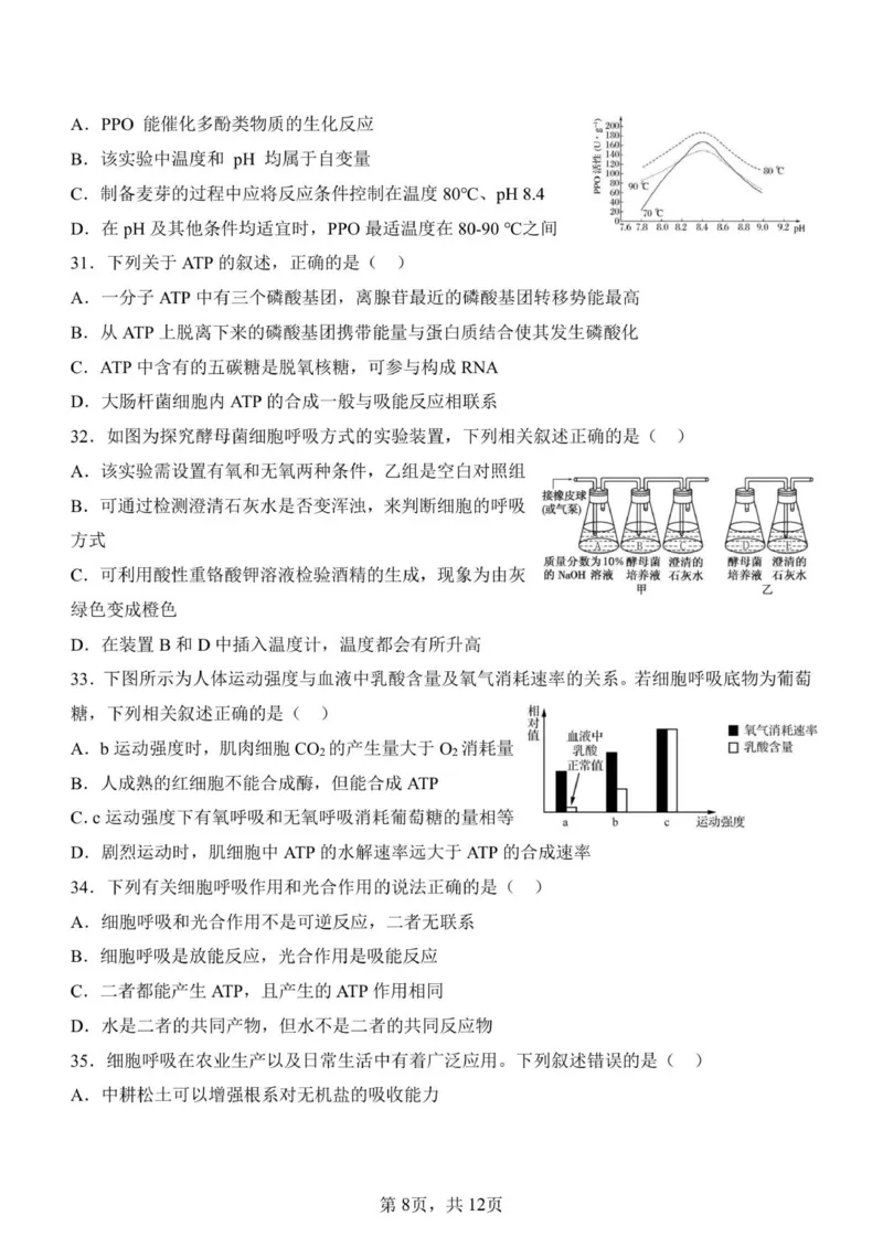 济南一中2025级高一上学期1月学情检测-生物试题_2026年01月高一试卷_260115山东省济南第一中学2025-2026学年高一上学期1月学情检测（全）