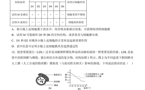 济南一中2025级高一上学期1月学情检测-生物试题_2026年01月高一试卷_260115山东省济南第一中学2025-2026学年高一上学期1月学情检测（全）