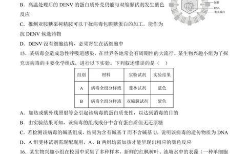 济南一中2025级高一上学期1月学情检测-生物试题_2026年01月高一试卷_260115山东省济南第一中学2025-2026学年高一上学期1月学情检测（全）
