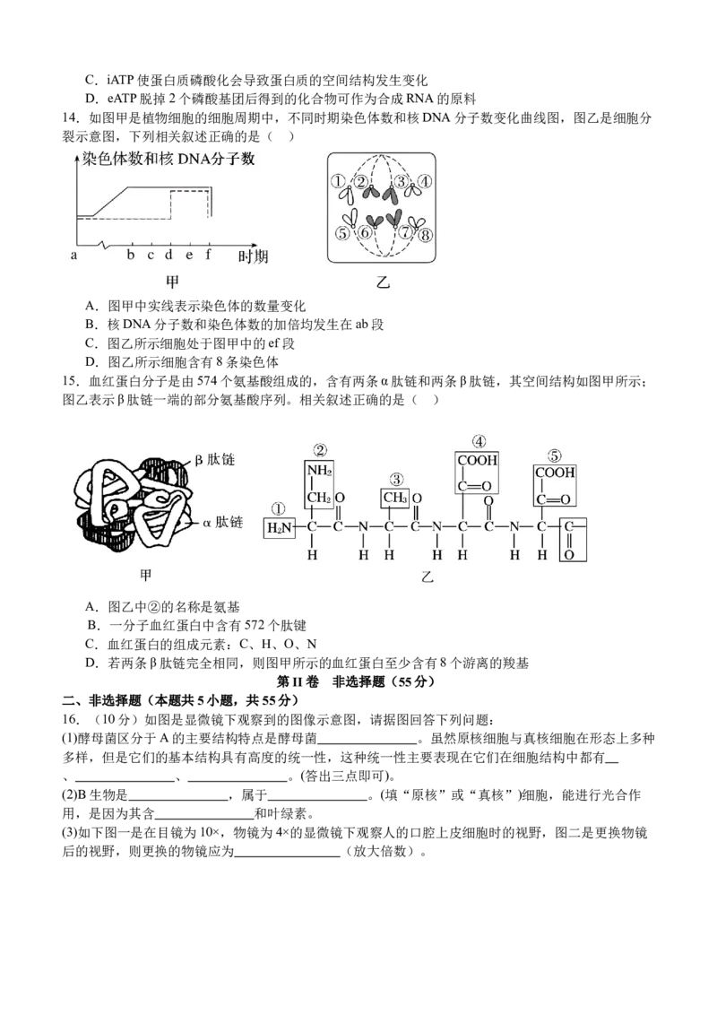 泸县五中2025年春期高一开学考试生物试题_2025年03月试卷_0307四川省泸州市泸县第五中学2024-2025学年高一下学期开学考试