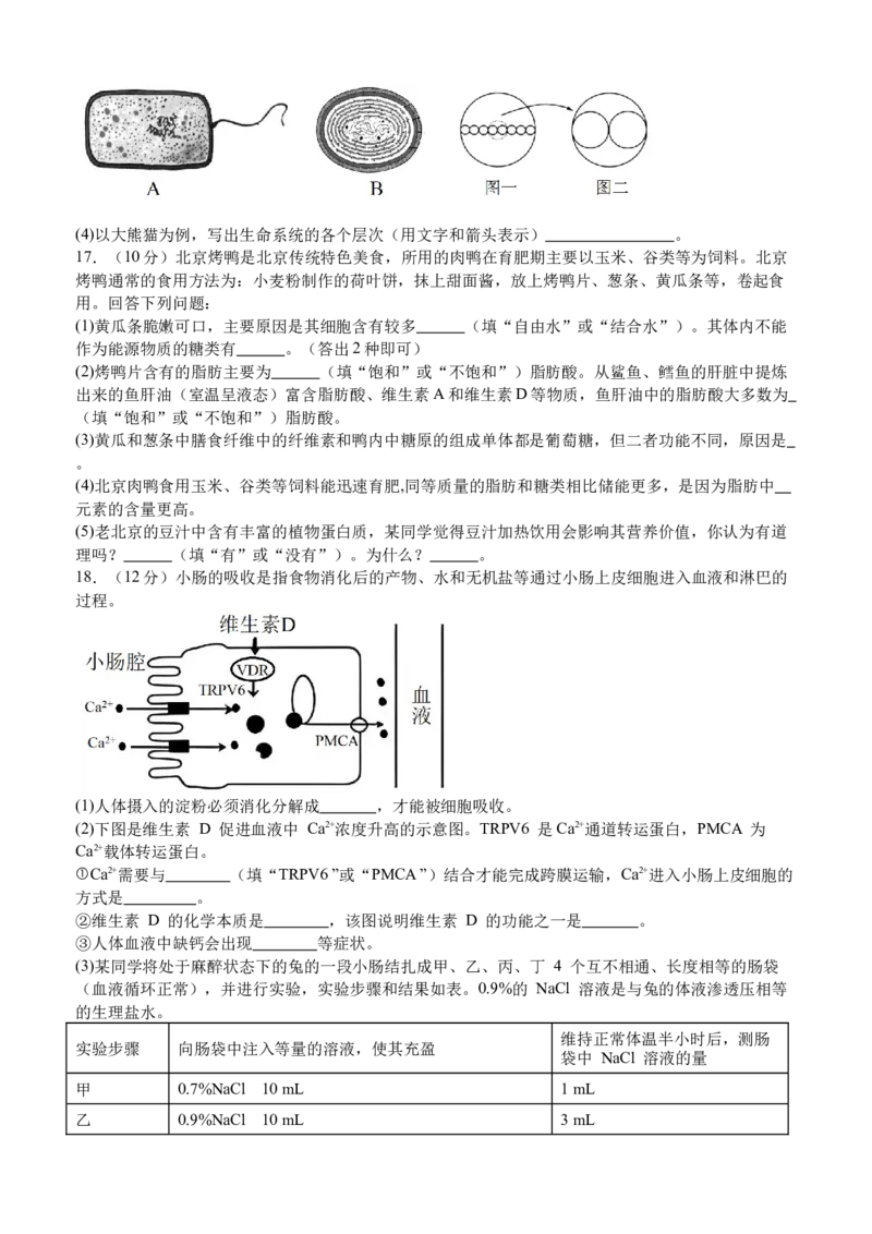 泸县五中2025年春期高一开学考试生物试题_2025年03月试卷_0307四川省泸州市泸县第五中学2024-2025学年高一下学期开学考试