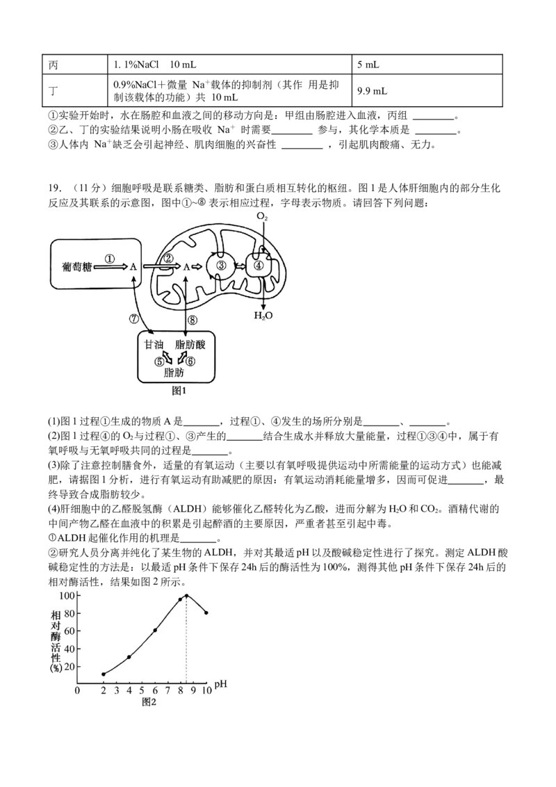 泸县五中2025年春期高一开学考试生物试题_2025年03月试卷_0307四川省泸州市泸县第五中学2024-2025学年高一下学期开学考试