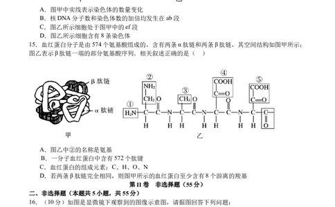 泸县五中2025年春期高一开学考试生物试题_2025年03月试卷_0307四川省泸州市泸县第五中学2024-2025学年高一下学期开学考试