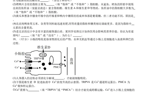泸县五中2025年春期高一开学考试生物试题_2025年03月试卷_0307四川省泸州市泸县第五中学2024-2025学年高一下学期开学考试