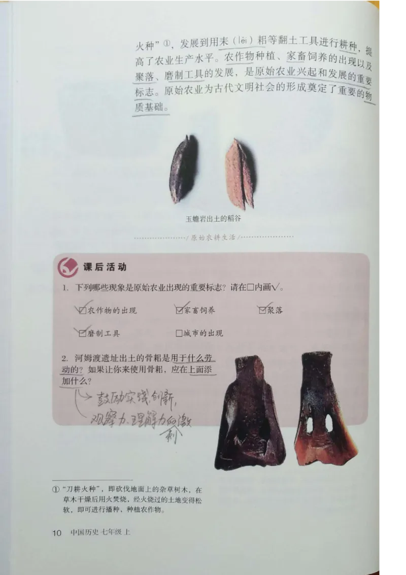 七上历史电子课本_初中_人教版初中历史新七上_6.电子课本