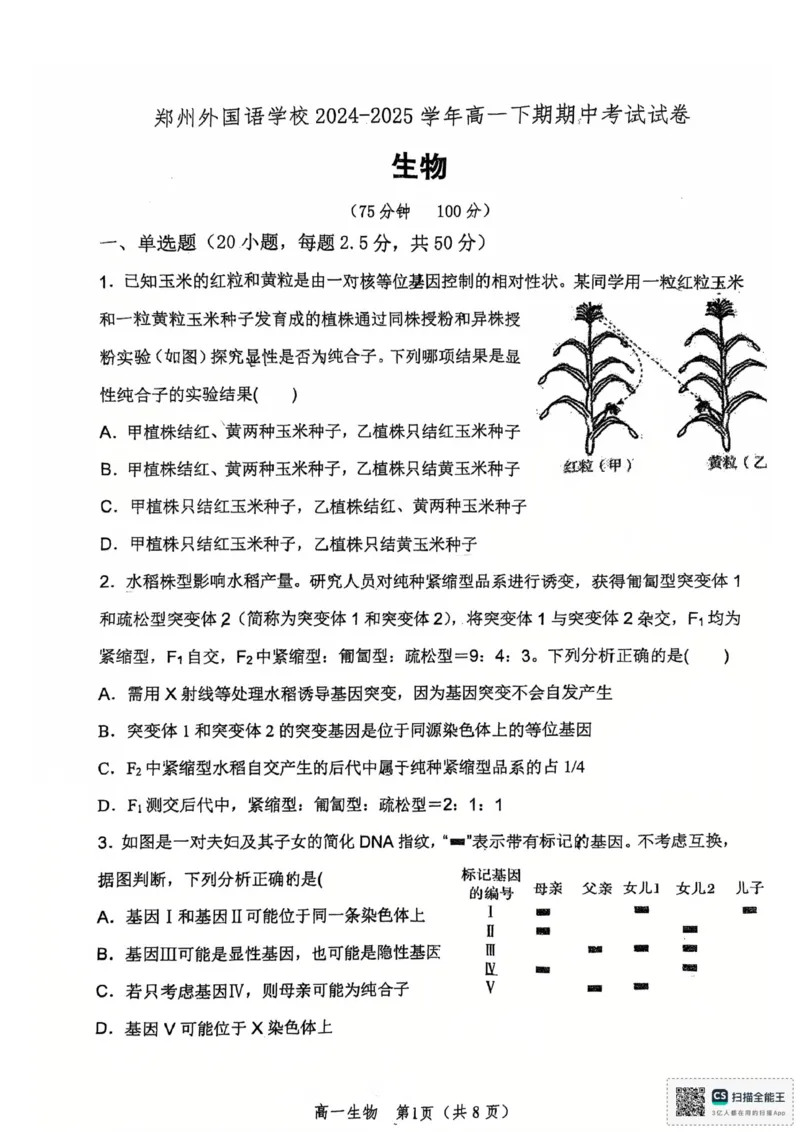河南省郑州外国语学校2024-2025学年高一下学期期中考试生物试卷_2025年05月试卷_0530河南省郑州外国语学校2024-2025学年高一下学期期中考试