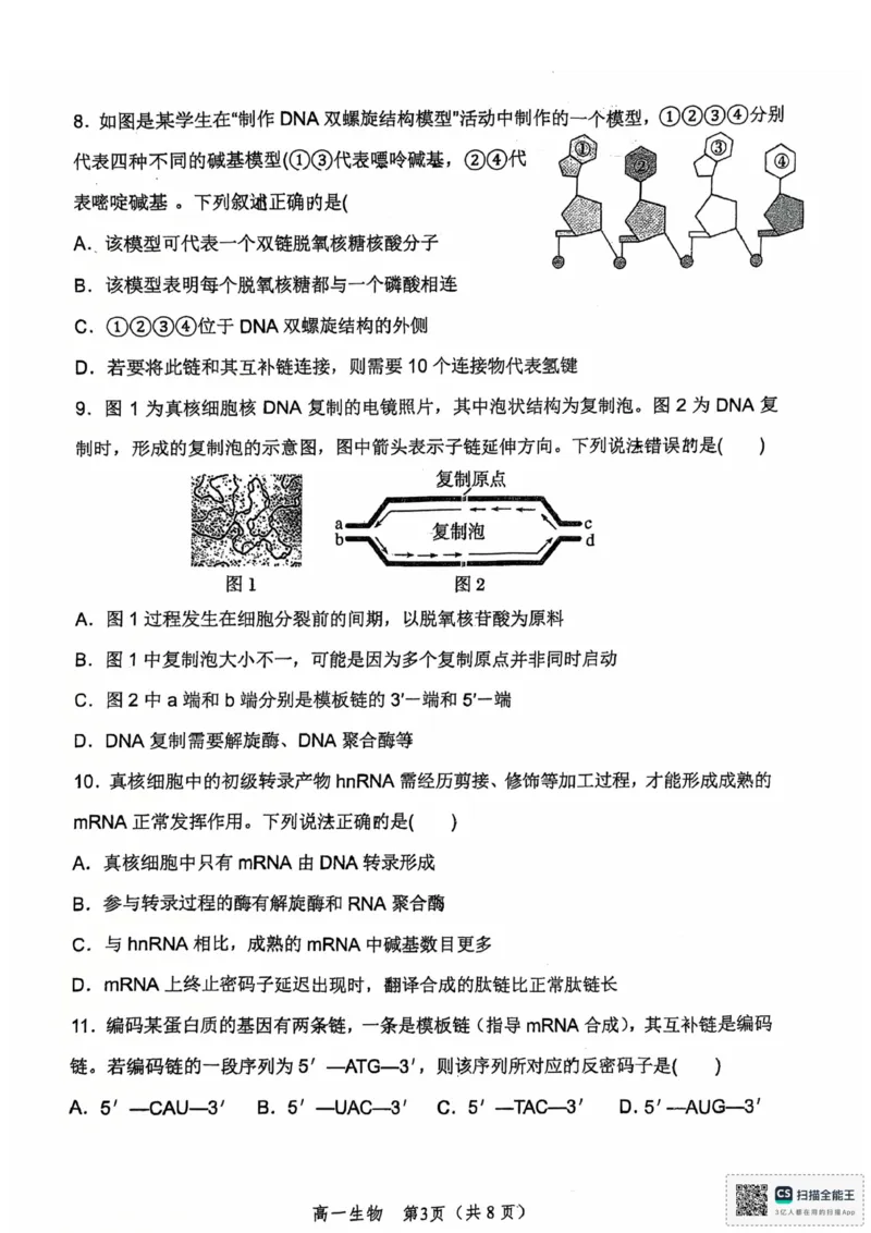 河南省郑州外国语学校2024-2025学年高一下学期期中考试生物试卷_2025年05月试卷_0530河南省郑州外国语学校2024-2025学年高一下学期期中考试
