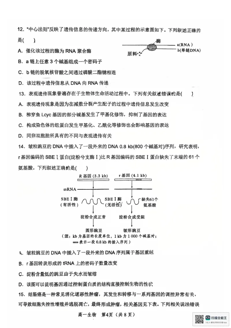河南省郑州外国语学校2024-2025学年高一下学期期中考试生物试卷_2025年05月试卷_0530河南省郑州外国语学校2024-2025学年高一下学期期中考试