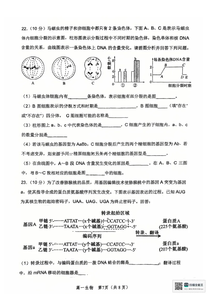 河南省郑州外国语学校2024-2025学年高一下学期期中考试生物试卷_2025年05月试卷_0530河南省郑州外国语学校2024-2025学年高一下学期期中考试