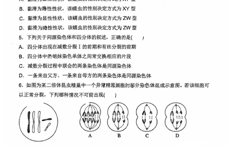 河南省郑州外国语学校2024-2025学年高一下学期期中考试生物试卷_2025年05月试卷_0530河南省郑州外国语学校2024-2025学年高一下学期期中考试