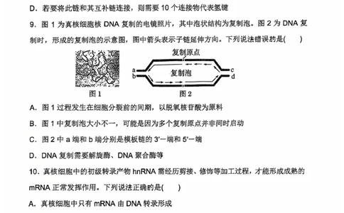 河南省郑州外国语学校2024-2025学年高一下学期期中考试生物试卷_2025年05月试卷_0530河南省郑州外国语学校2024-2025学年高一下学期期中考试