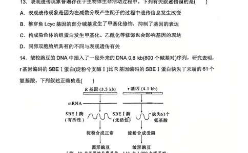 河南省郑州外国语学校2024-2025学年高一下学期期中考试生物试卷_2025年05月试卷_0530河南省郑州外国语学校2024-2025学年高一下学期期中考试