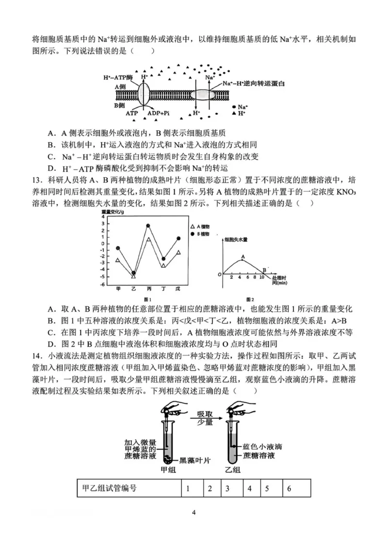 河南省南阳市第一中学校2025&mdash;2026学年高一上学期12月考试生物试题（图片版，含答案）_2025年12月高一试卷_251213河南省南阳市第一中学校2025-2026学年高一上学期12月月考（全）
