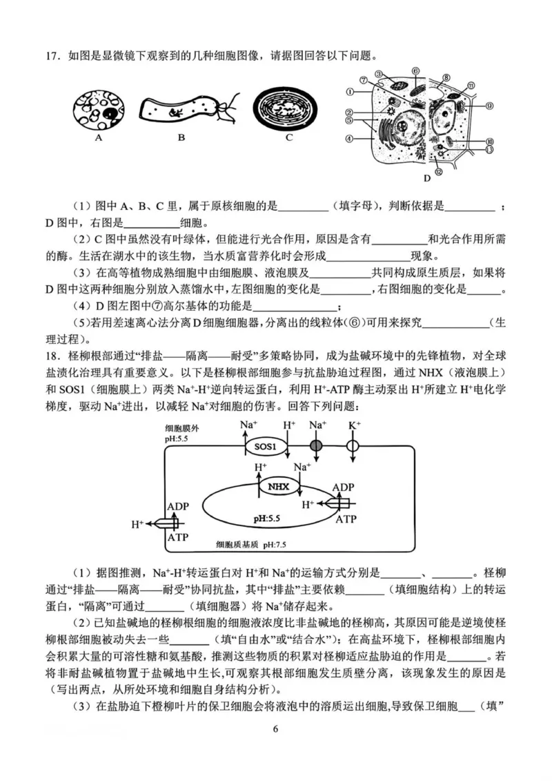 河南省南阳市第一中学校2025&mdash;2026学年高一上学期12月考试生物试题（图片版，含答案）_2025年12月高一试卷_251213河南省南阳市第一中学校2025-2026学年高一上学期12月月考（全）