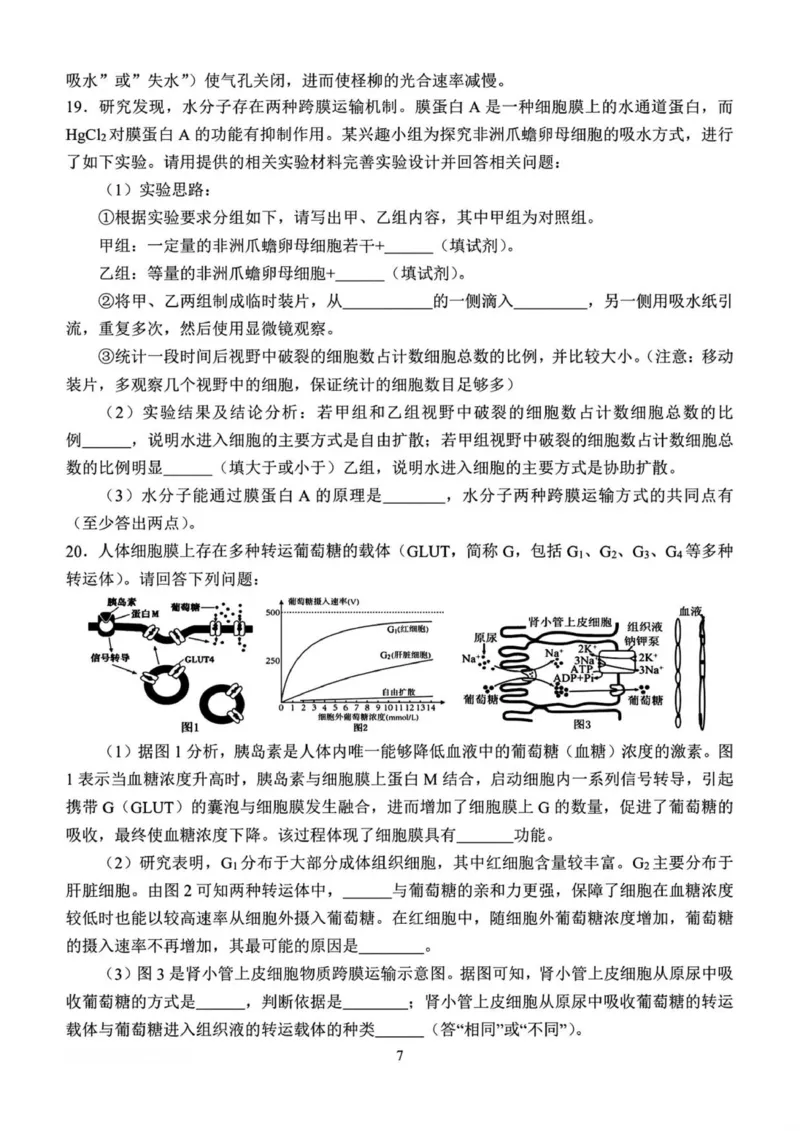 河南省南阳市第一中学校2025&mdash;2026学年高一上学期12月考试生物试题（图片版，含答案）_2025年12月高一试卷_251213河南省南阳市第一中学校2025-2026学年高一上学期12月月考（全）