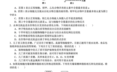 河南省南阳市第一中学校2025&mdash;2026学年高一上学期12月考试生物试题（图片版，含答案）_2025年12月高一试卷_251213河南省南阳市第一中学校2025-2026学年高一上学期12月月考（全）