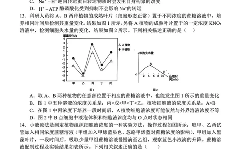 河南省南阳市第一中学校2025&mdash;2026学年高一上学期12月考试生物试题（图片版，含答案）_2025年12月高一试卷_251213河南省南阳市第一中学校2025-2026学年高一上学期12月月考（全）