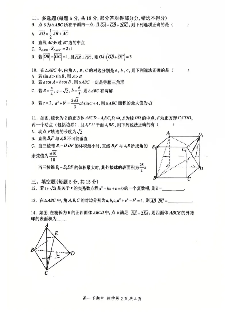 河南省郑州外国语学校2024-2025学年高一下学期期中考试数学试卷_2025年05月试卷_0530河南省郑州外国语学校2024-2025学年高一下学期期中考试