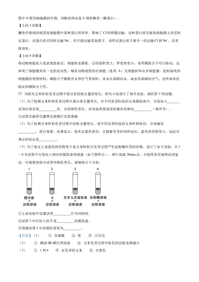 浙江省ZDB联盟2025-2026学年高一上学期11月期中生物试题Word版含解析_2025年11月高一试卷_251127浙江省浙东北县域名校发展联盟2025-2026学年高一上学期11月期中联考试题（ZDB）（全）
