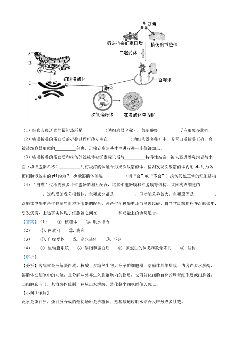 浙江省ZDB联盟2025-2026学年高一上学期11月期中生物试题Word版含解析_2025年11月高一试卷_251127浙江省浙东北县域名校发展联盟2025-2026学年高一上学期11月期中联考试题（ZDB）（全）