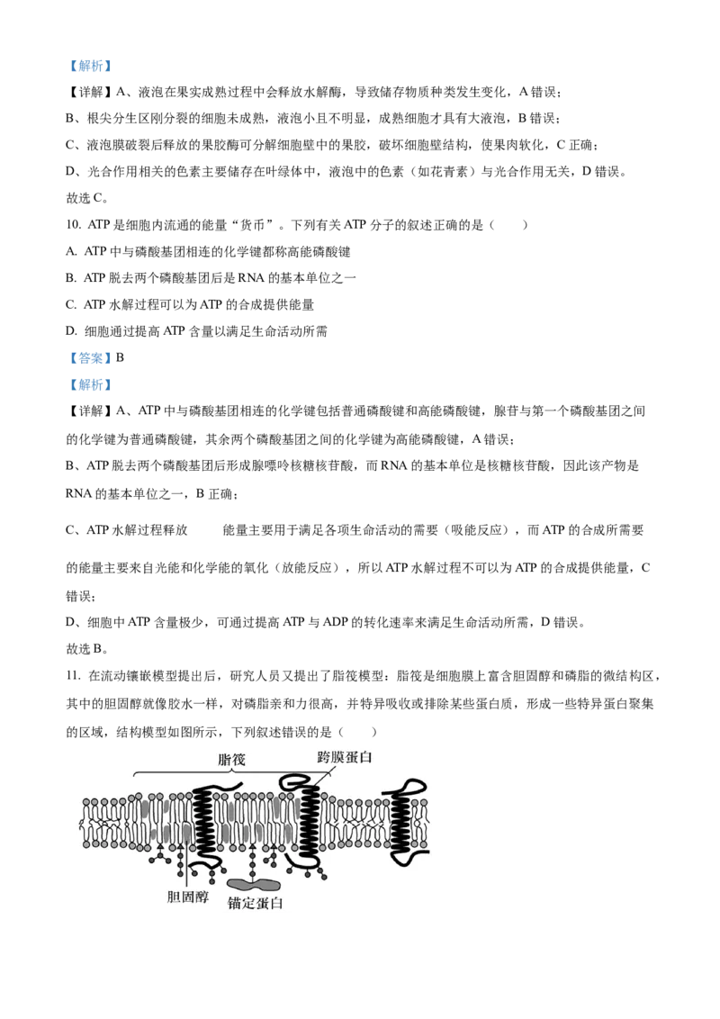 浙江省ZDB联盟2025-2026学年高一上学期11月期中生物试题Word版含解析_2025年11月高一试卷_251127浙江省浙东北县域名校发展联盟2025-2026学年高一上学期11月期中联考试题（ZDB）（全）