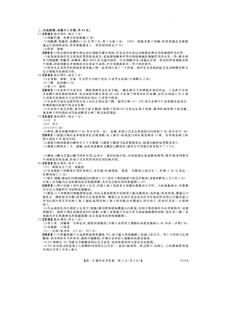 河南新未来高一生物答案202510_2025年10月高一试卷_251031河南省新未来大联考2025-2026学年高一上学期10月末质量检测（全）