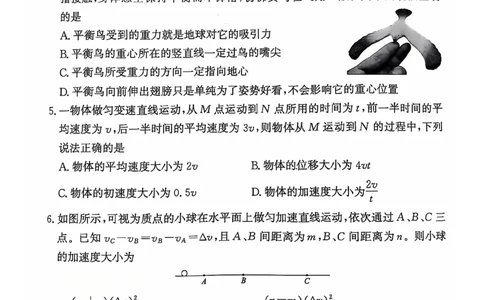 河南驻马店2024-2025学年（上）高一年级期中考试物理试题_2024年11月试卷_1122青桐鸣河南省普通高中2024-2025学年高一上学期期中