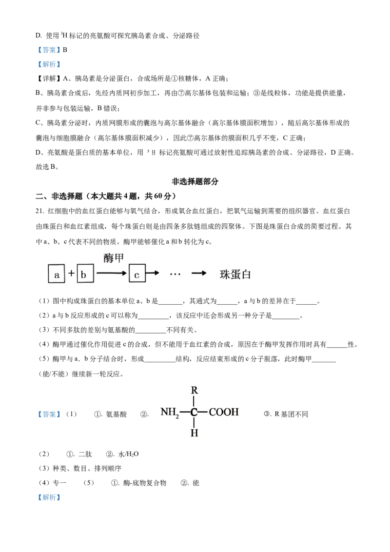 浙江省七彩阳光2025-2026学年高一上学期期中11月生物试卷Word版含解析_2025年12月高一试卷_251207浙江省&rdquo;七彩阳光&ldquo;新高考研究联盟2025-2026学年高一上学期期中（全）