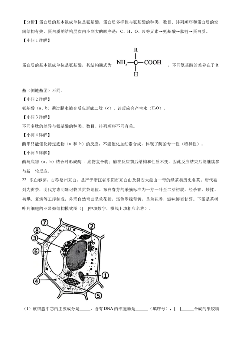 浙江省七彩阳光2025-2026学年高一上学期期中11月生物试卷Word版含解析_2025年12月高一试卷_251207浙江省&rdquo;七彩阳光&ldquo;新高考研究联盟2025-2026学年高一上学期期中（全）
