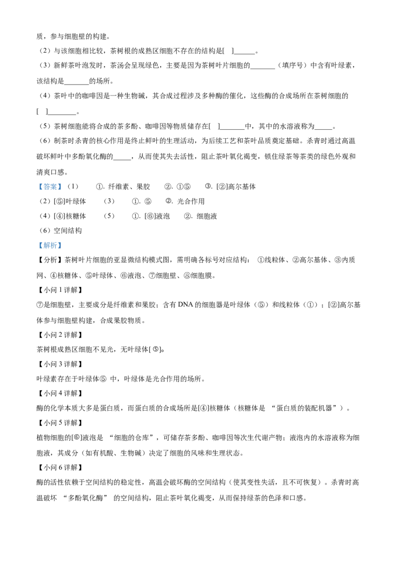 浙江省七彩阳光2025-2026学年高一上学期期中11月生物试卷Word版含解析_2025年12月高一试卷_251207浙江省&rdquo;七彩阳光&ldquo;新高考研究联盟2025-2026学年高一上学期期中（全）