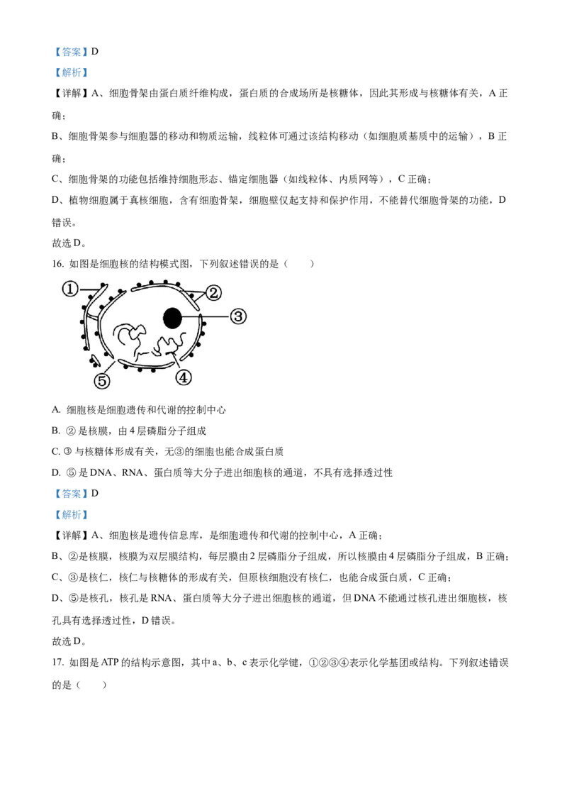 浙江省七彩阳光2025-2026学年高一上学期期中11月生物试卷Word版含解析_2025年12月高一试卷_251207浙江省&rdquo;七彩阳光&ldquo;新高考研究联盟2025-2026学年高一上学期期中（全）