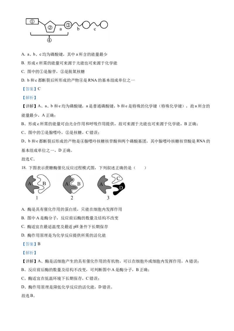 浙江省七彩阳光2025-2026学年高一上学期期中11月生物试卷Word版含解析_2025年12月高一试卷_251207浙江省&rdquo;七彩阳光&ldquo;新高考研究联盟2025-2026学年高一上学期期中（全）