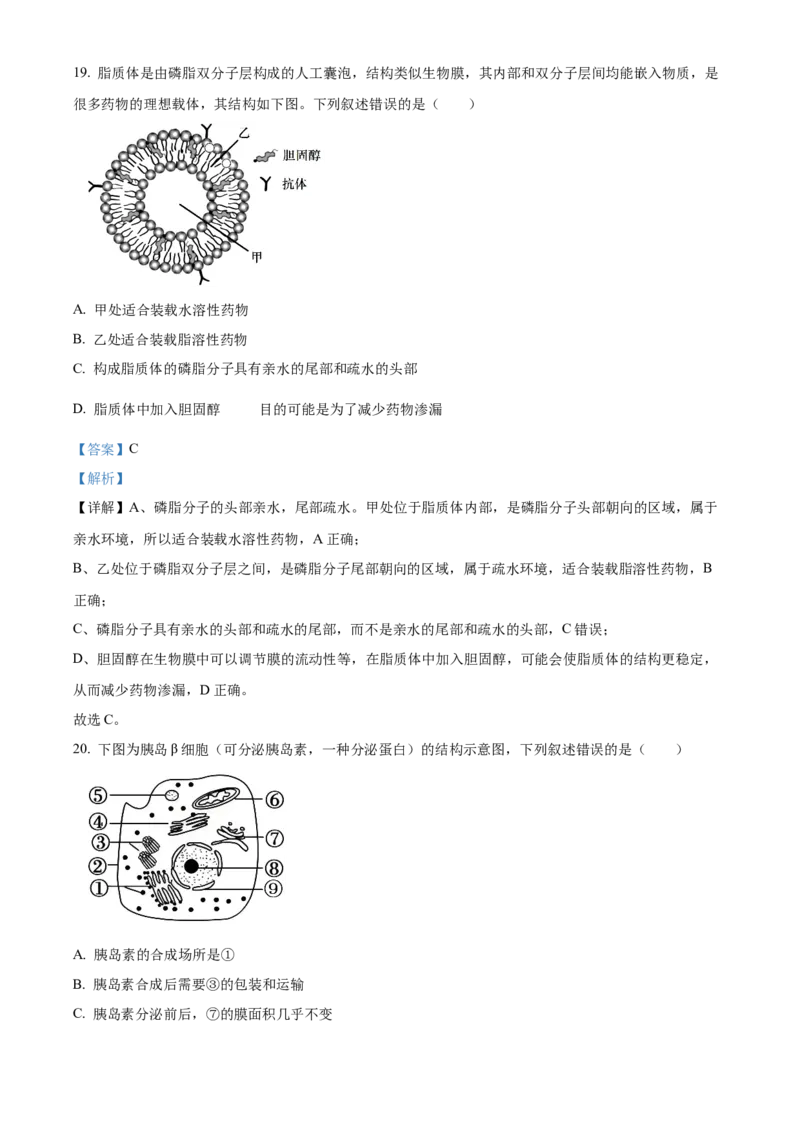 浙江省七彩阳光2025-2026学年高一上学期期中11月生物试卷Word版含解析_2025年12月高一试卷_251207浙江省&rdquo;七彩阳光&ldquo;新高考研究联盟2025-2026学年高一上学期期中（全）