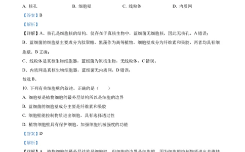 浙江省七彩阳光2025-2026学年高一上学期期中11月生物试卷Word版含解析_2025年12月高一试卷_251207浙江省&rdquo;七彩阳光&ldquo;新高考研究联盟2025-2026学年高一上学期期中（全）