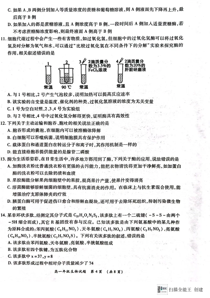 河南省南阳市六校2024-2025学年高一上学期12月月考生物试题_2024年12月试卷_1222河南省南阳市2024年秋期高一年级六校第二次联考