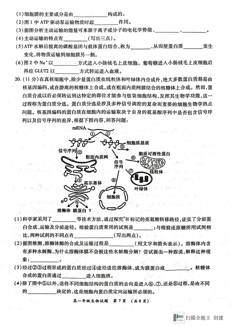 河南省南阳市六校2024-2025学年高一上学期12月月考生物试题_2024年12月试卷_1222河南省南阳市2024年秋期高一年级六校第二次联考